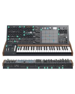 ARTURIA MATRIXBRUTE SINTETIZZATORE ANALOGICO MATRIX BRUTE MONOFONICO DUOFONICO PARAFONICO